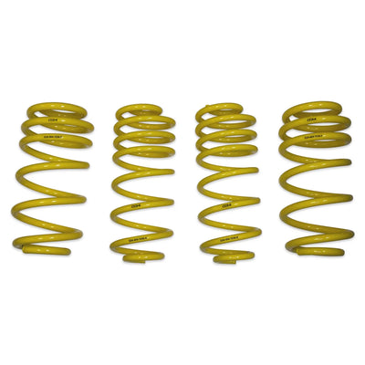 D+ Lowering Springs, Macan 2.0