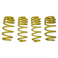 D+ Lowering Springs, Macan 2.0