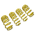 D+ Lowering Springs, Macan 2.0