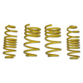 D+ Lowering Springs,Macan 2.9T