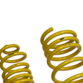D+ Lowering Springs,Macan 2.9T