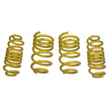 D+ Lowering Springs,Macan 2.9T