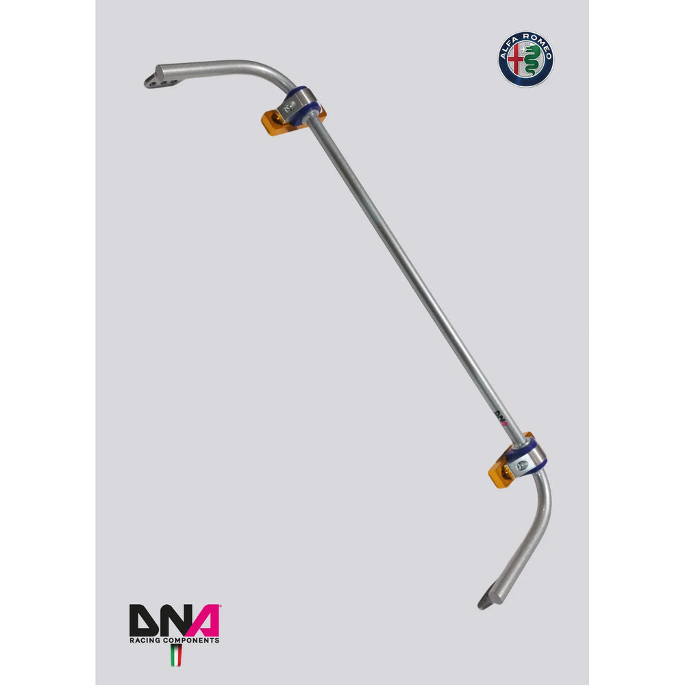 DNA Racing rear adjustable torsion bar kit