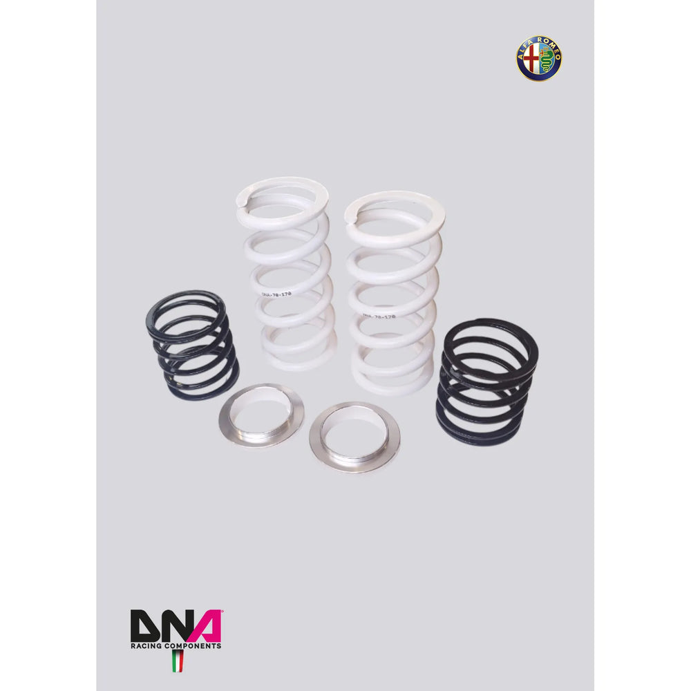 DNA Racing front top mount for BILSTEIN - ST - KW - BC Racing with racing springs