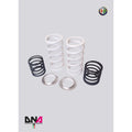 DNA Racing springs