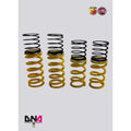 DNA Racing Track day springs for WRS shock absorbers kit