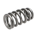 Manley Performance springs close-up