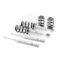 H&R auto part installed view