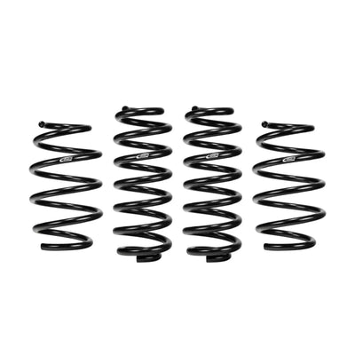 Eibach auto part