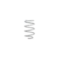 Eibach springs close-up