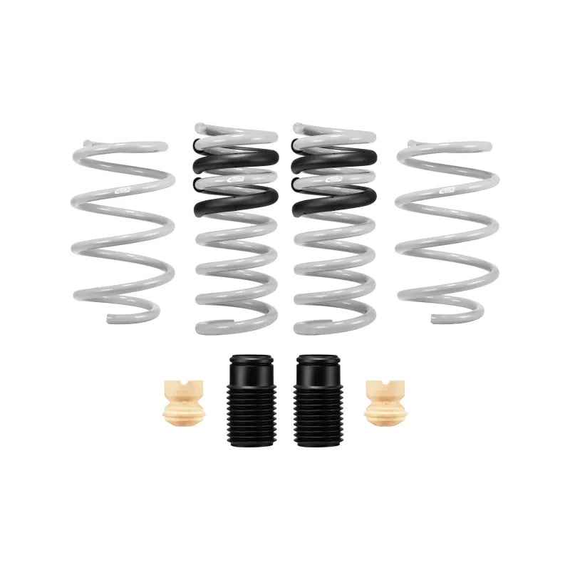Eibach springs