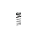Eibach springs detail