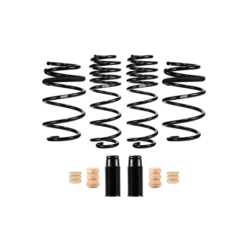 Eibach springs