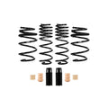 Eibach springs