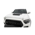 AVS auto part installed view