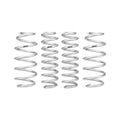 Eibach springs