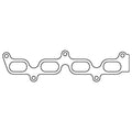 Cometic Gasket intake system