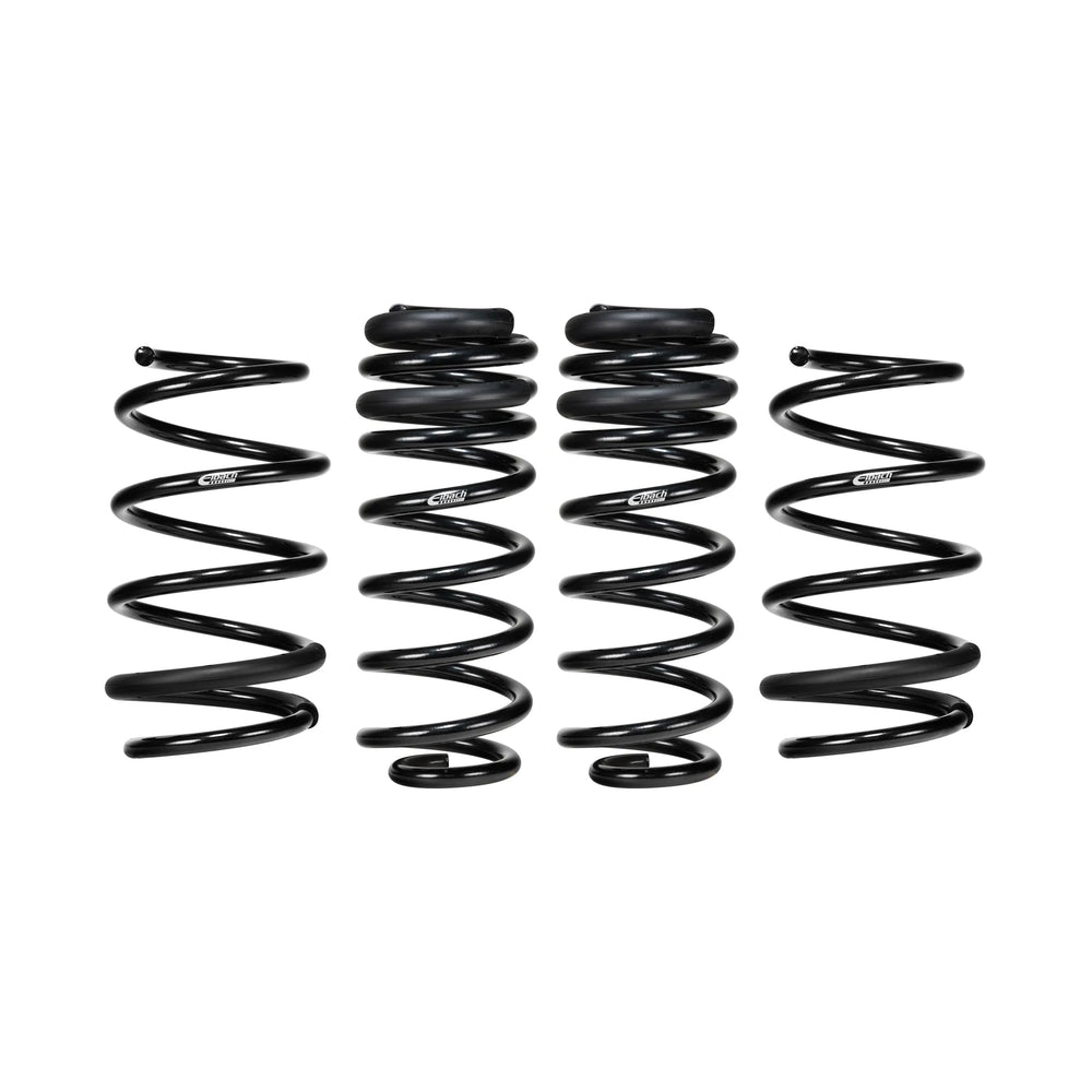 Eibach springs