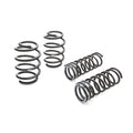 Eibach springs detail