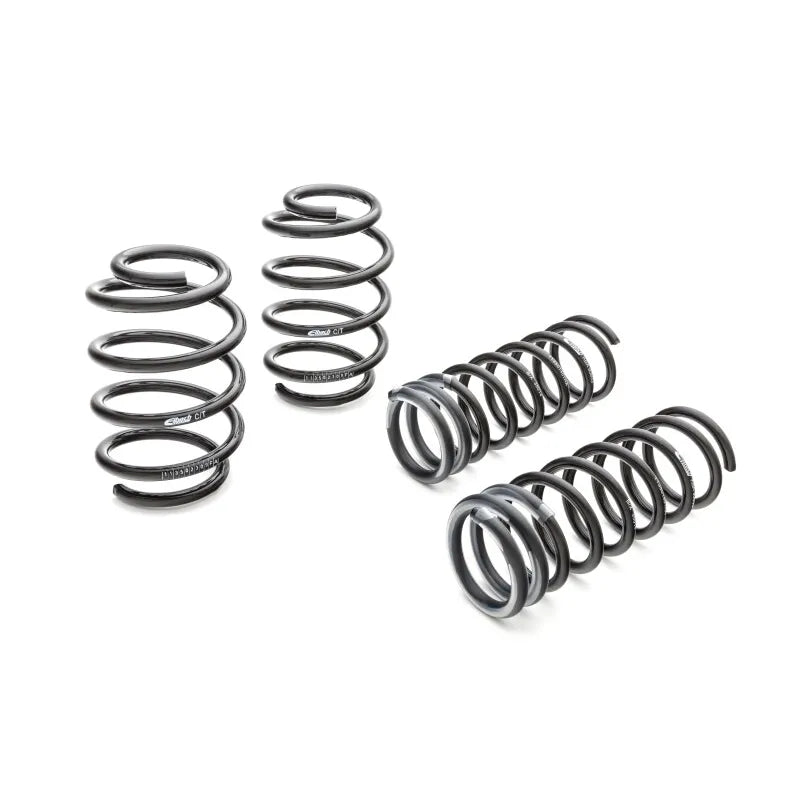 Eibach springs