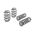 Eibach springs