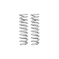 Eibach shock absorber