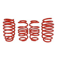 Skunk2 Racing springs close-up