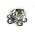 ARP auto part