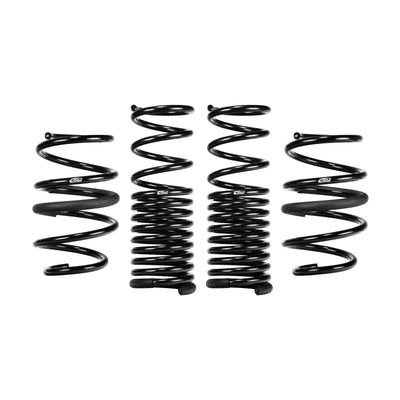 Eibach springs