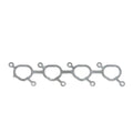 Cometic Gasket intake system