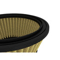 aFe air filter installed view