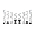Eibach springs