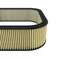 aFe air filter