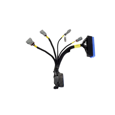 AEM auto part
