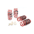 Eibach auto part