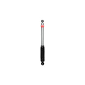 Eibach shock absorber