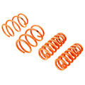 aFe springs close-up