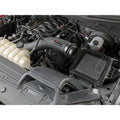 aFe induction system