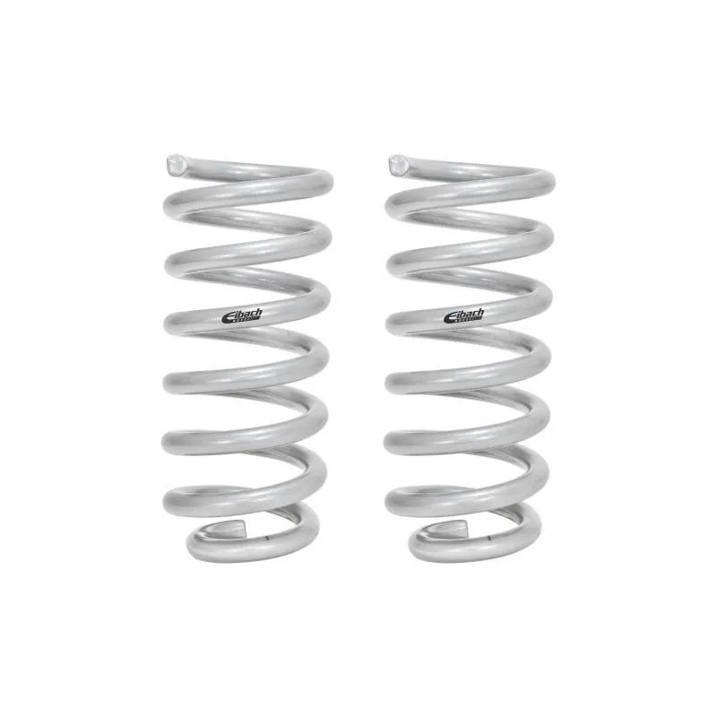 Eibach silver shock absorber