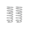 Eibach silver shock absorber