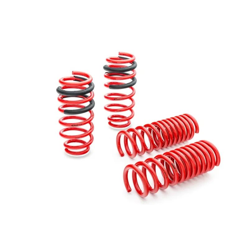 Eibach springs