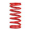 Skunk2 Racing springs detail