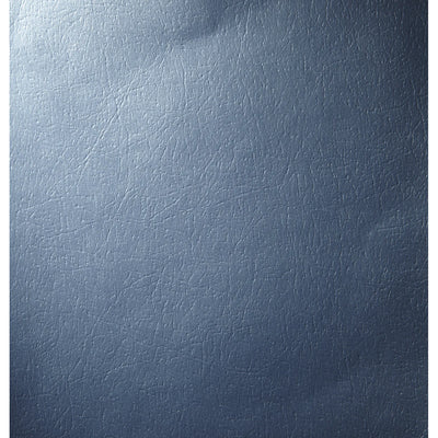 Covercraft blue auto part