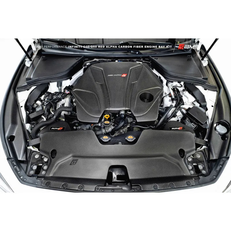 AMS carbon auto part