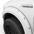 EGR fender flares