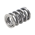 Manley Performance springs close-up