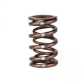 Skunk2 Racing springs installed view