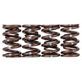 Skunk2 Racing springs