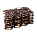 Skunk2 Racing springs close-up