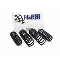 H&R springs